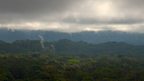 The forests of the Congo are the "lungs of Africa"