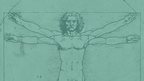 Da Vinci's Vitruvian Man
