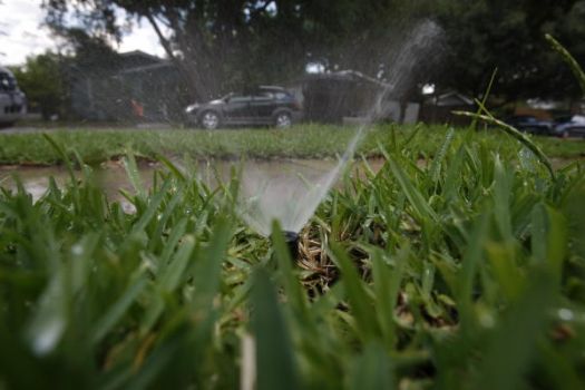 A sprinkler is seen as it waters the grass on the front lawn of a four-plex apartment on Reagan Street on June 22, 2009, in Houston. Photo: Julio Cortez, Chronicle