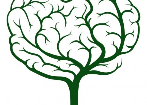 brain tree learning