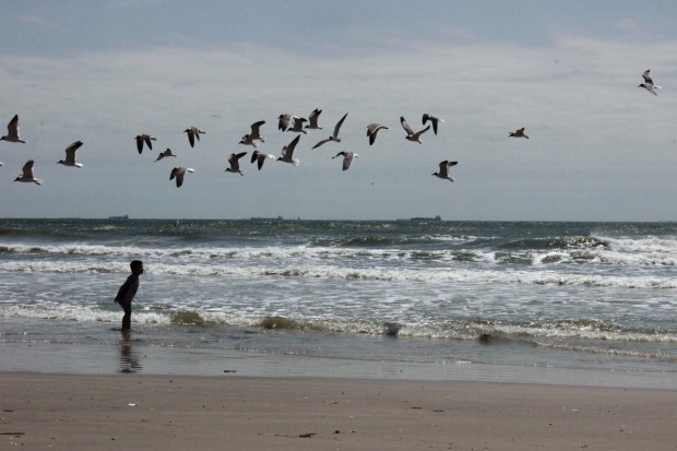 Ships dot the horizon off Galveston Beach, waiting to enter the channel near where collision happened March 22