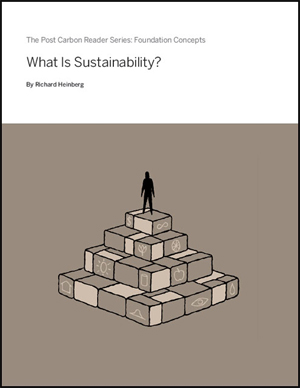 What is Sustainability?