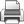 print icon