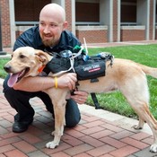 David Roberts says the Cyber-Enhanced Working Dog harness will allow humans to monitor dogs' physical and emotional states remotely, such as in search and rescue operations.