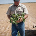 Dennis Fuchs, a cotton farmer in Glasscock County, in August. A recent surge in oil drilling has transformed this area 40 miles southeast of Midland.