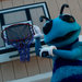 The Charlotte Hornets’ mascot, Hugo, is part of a promotional effort to distribute 1,000 purple basketball nets around the city.