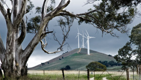 Wind farm in rural Australia