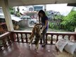 In this Oct. 11, 2014 photo, Veronica Saavedra is welcomed by her dogs as she returns to their damaged house in Tanauan, Leyte province, central Philippines after Typhoon Haiyan. Forecasters are now keeping their eye on Typhoon Nuri, which, once it interacts with a superstrong polar jet stream, will become one of the strongest storms ever to roam the planet — non-tropical related. (AP Photo/Aaron Favila)