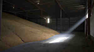Sunlight streams into a corn storage building at a Michlig Grain storage facility in Sheffield, Illinois, U.S., on Oct. 31, 2014. The price of corn has been falling for months.