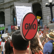 Supporters of efforts to label GMOs in foods turn out at a rally in Denverin 2013. A ballot measure that would such labels failed to pass by a wide margin Tuesday.