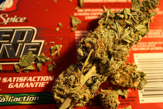 MarijuanaFlickrBlindNomad.jpg