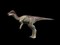 Pachycephalosaurus Wyomingensis