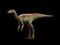 Thescelosaurus Neglectus