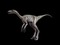 Troodon Formosus