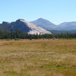 Yosemite’s Tuolumne Meadows: a Long-standing Geological Puzzle