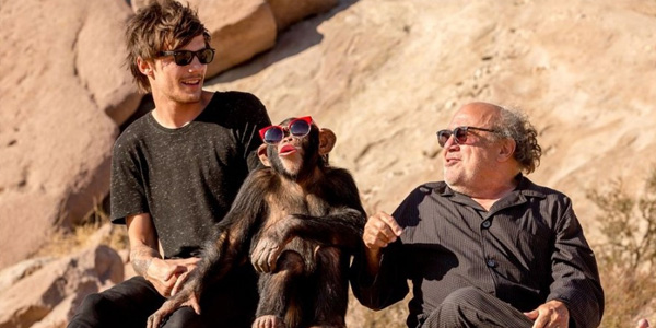 Watch Danny DeVito in One Direction’s “Steal My Girl” Video