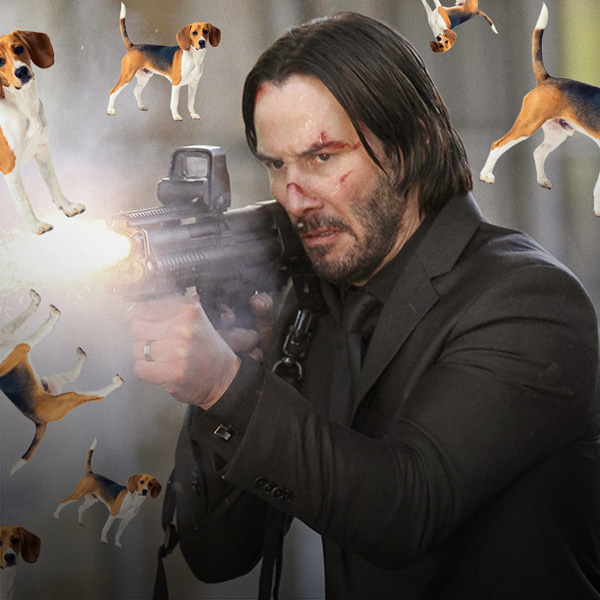 5 Reasons You Should Never Kill the Dog In Movies