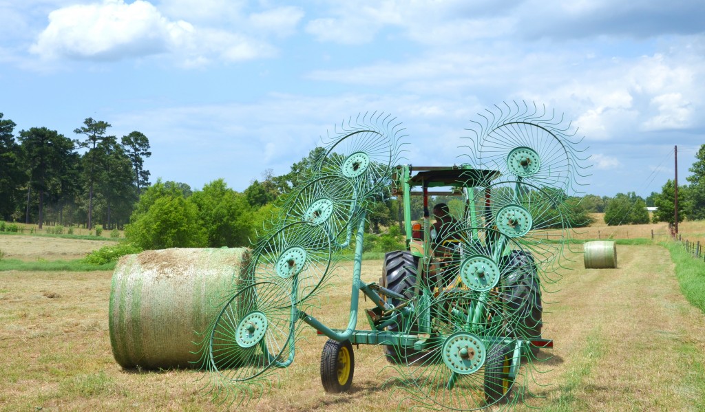Man driving a hay field harrower