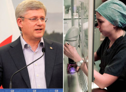 Hundreds of scientists around the world are asking Prime Minister Stephen Harper to end 