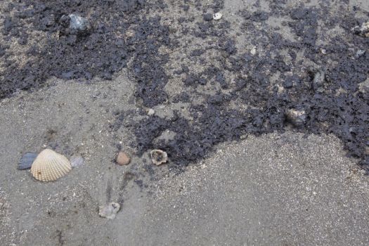 A black sticky oily substance is shown along the beach at the Texas City Dike near the barge spill cleanup site Sunday, March 23, 2014. Officials say the material is consistent with how oil could appear when it impacts beaches.  However it would have to be analyzed to determine its origin.   (Melissa Phillip / Houston Chronicle)
