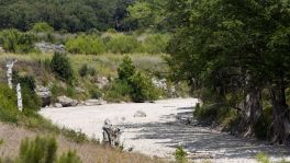The Guadalupe River was dry Aug. 6 near Rebecca Creek Road bridge, upstream from Canyon Lake. Summer also saw springs in New Braunfels' Landa Park dry up, and San Antonio saw barely any rain in August.