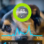 Whistle is a wearable device for your dog that tracks the pup's activity.