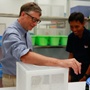 Mosquito Week: Bill Allows Mosquitoes to Feed on His Blood, Indonesia | GatesNotes.com The Blog of Bill Gates