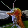 The World's Deadliest Animal: The Mosquito | GatesNotes.com The Blog of Bill Gates