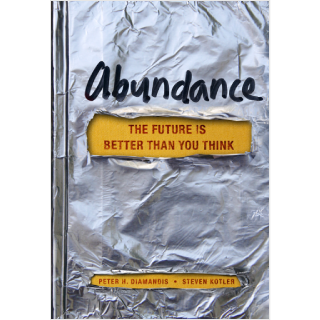 Abundance - Book Review