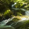 Pennsylvania Waterfalls: Mill Creek Falls and Lock 12 in York County