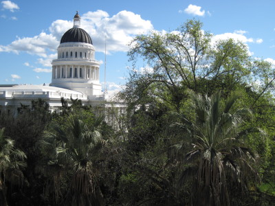 The state Capitol in Sacramento is beckoning a surprising number of newcomers. (Craig Miller/KQED)