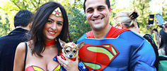 NYC's Adorable Dog Halloween Parade