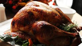 Roast the Perfect Thanksgiving Turkey