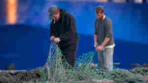 Fishermen Ed Stewart (left) and Tannis Goodsen mend groundfishing nets on Merrill Wharf, in Portland, Maine, last November.