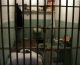 File photo of a prison cell. (Photo by GABRIEL BOUYS/AFP/Getty Images)