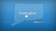 wallingford map for dl
