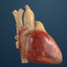 A 3-D simulation of the human heart from Dassault Systèmes, which is behind the Living Heart Project.
