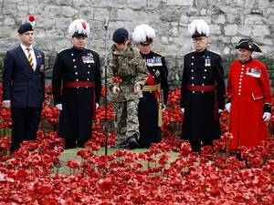 Cadet Harry Alexander Hayes plants the last poppy during a remembrance day ceremony into the ceramic poppy art installation by artist Paul Cummins entitled 'Blood Swept Lands and Seas of Red' in the dry moat of the Tower of London