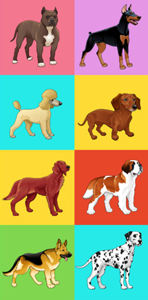 Set of dog with background. For a possible packaging or graphic.