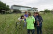 BRIT staffers conduct a census of native plants in each section of the prairie plot. Brian Hutson