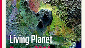 Cover of WWF extinction (Living Planet) report (wwf.org)