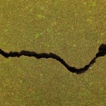 Scientists have drawn definitive links between hydraulic fracturing disposal wells and induced earthquakes. The photo above shows a crack in a road after a natural earthquake in 2011 in Christchurch, New Zealand.