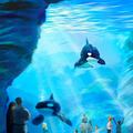 SeaWorld maps out strategy to financial recovery