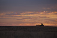 Dawn near Winner, S.D. The drop in oil prices has helped farmers who spend hours on the road this time of year hauling crops to market.