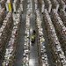 Books and other items at an Amazon warehouse in Phoenix.