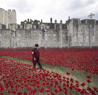 Image: Yeoman Serjeant Bob Loughlin admires a section of an installation entitled 'Blood Swept Lands and Seas of Red' 