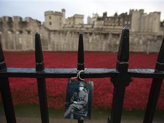 Flanders Field: Ceramic Poppies Planted to Honor WWI Veterans