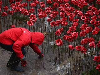 One Down, 888,245 to Go: Workers Remove London Poppies