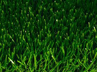 Does Artificial Turf Present a Health Risk?