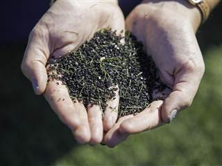 How Safe Is the Artificial Turf Your Child Plays On?